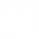 partner verizon