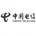 partner china telecom